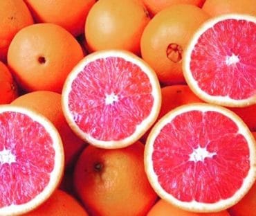 Top 5 Cửa hàng trái cây sạch ở Quy Nhơn | Nhập khẩu giá tốt