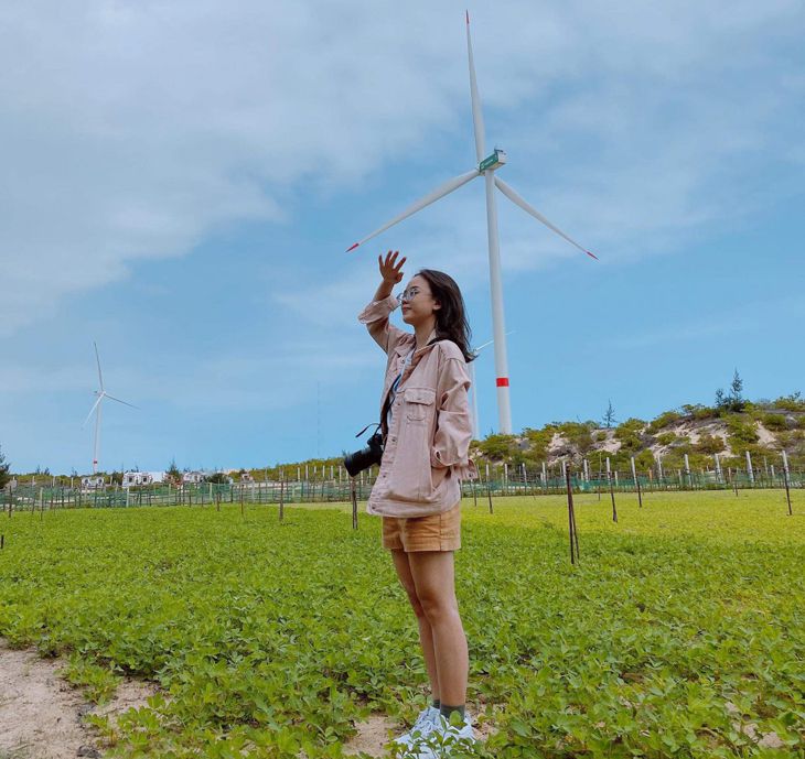 Cánh đồng quạt gió Quy Nhơn, background tuyệt đẹp cho những tấm hình - Ảnh: Huynhnguyenbaotran